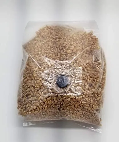 3 Lb Sterilized Grain Bag with Injection Port (Wheat) - Make Your Own Master Grain Spawn
