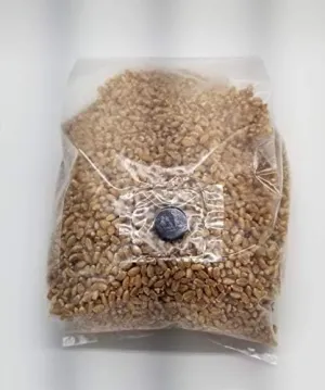 3 Lb Sterilized Grain Bag with Injection Port (Wheat) - Make Your Own Master Grain Spawn