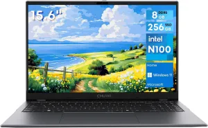 CHUWI Windows 11 Laptop 15.6", 256GB SSD 8GB LPDDR5, Intel N100 CPU(Beat to i3-1115G4, Up to 3.4GHz),180° Opening, FHD IPS 2K, WiFi6, BT 5.2, HDMI, USB 3.0, Type-C, RJ45, Webcam