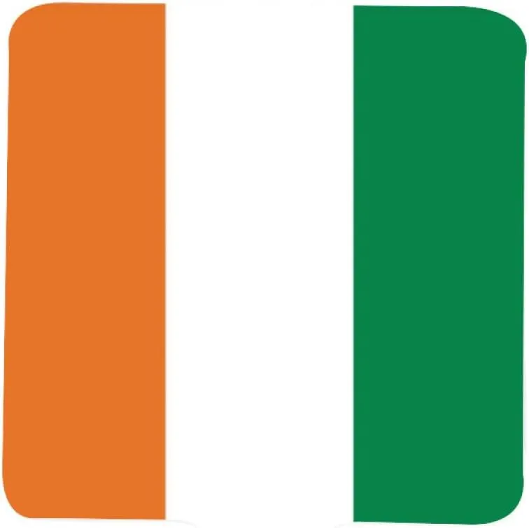 Funny Republic of Côte D'Ivoire Flag Makeup Mirror, Square Cosmetic Hand Mirror with Handle, Portable Travel Handheld Mirror for Facial Care White 9×16Cm