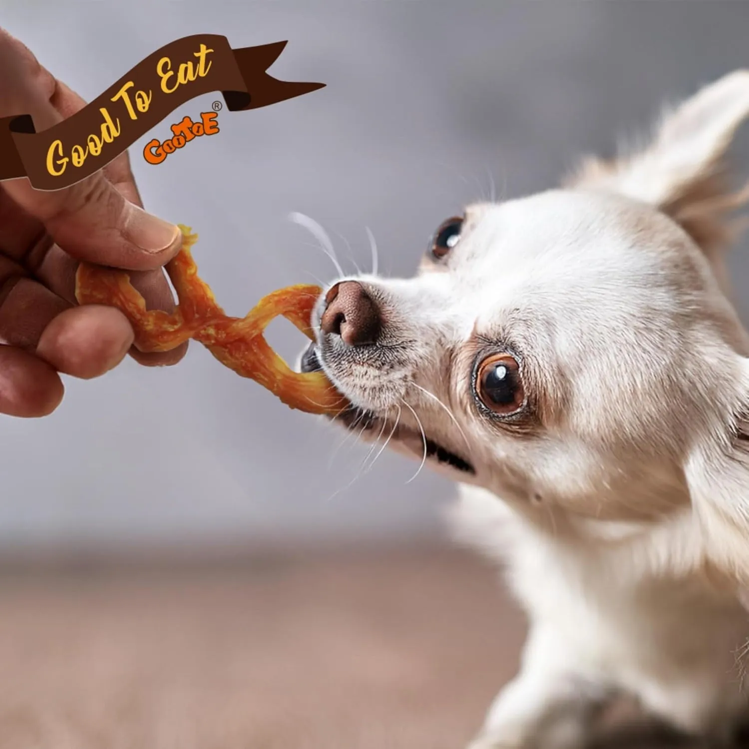 Gootoe Turkey Tendon Dog Treats, Turkey Tendon Pretzel (S) 6 Units/Pack, 100% USA-Sourced, Natural Snack, Premium Training Chews, Hypoallergenic, Reseal Value Bags, Size for Small Dogs