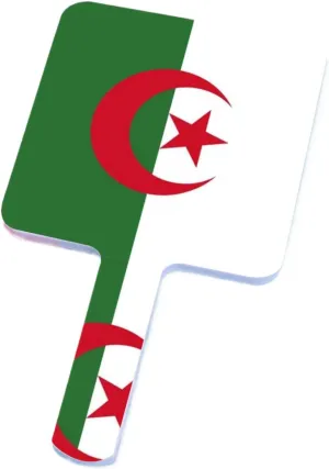 GOYMFKM Handheld Travel Mirror with Handle, Algeria Flag Handheld Plain Mirror, Square Cosmetic Salon Makeup Hand Mirror for Professional Barbers and Hairdressers White 9×16Cm