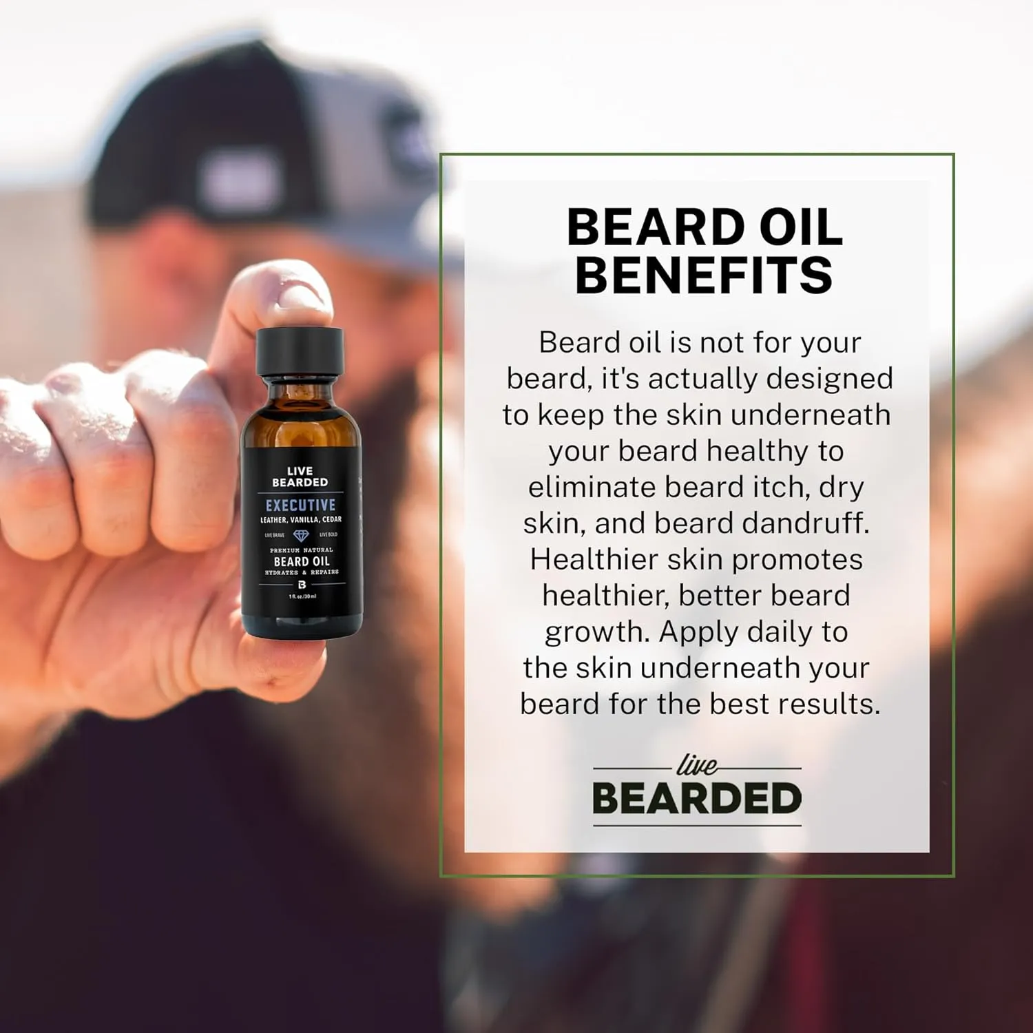 Live Bearded Beard Oil, 1 fl oz - Premium All-Natural Jojoba - Made in the USA - Hair and Skin Care for Men with Dry, Flaky Patches | Executive Scent - Cedar, Vanilla