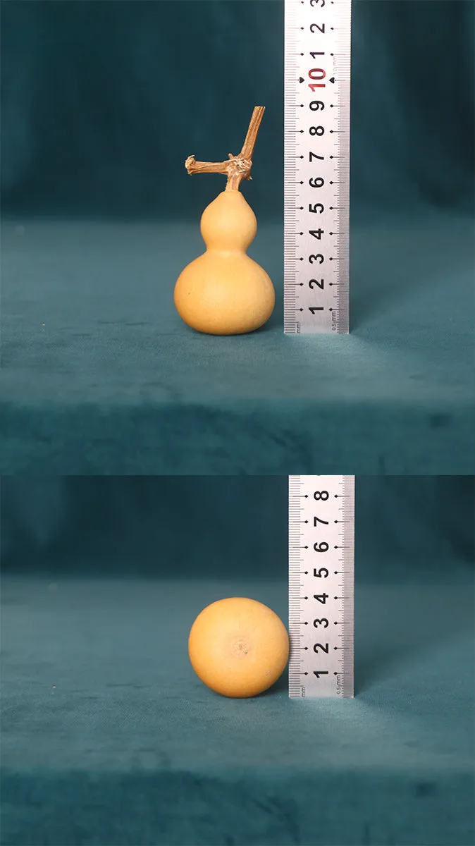 Natural Gourd Handle