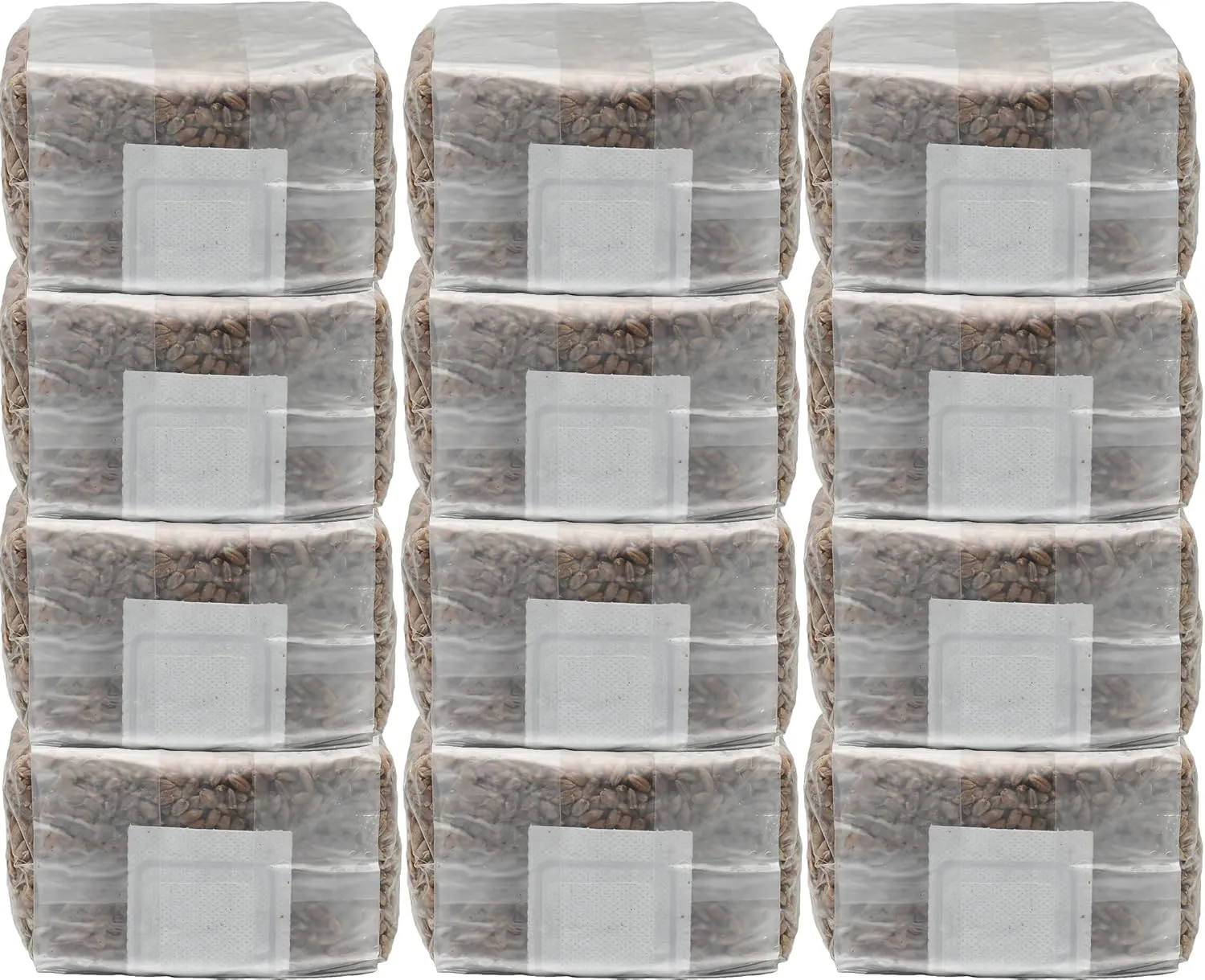 Twelve 1 Pound Grow Bags of Sterilized Rye Berries